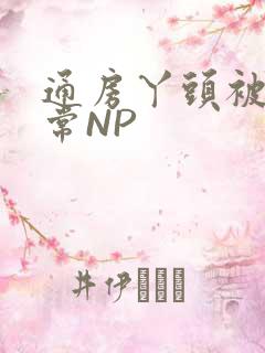 通房丫头被肉日常NP