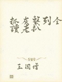 抓灰系列全文阅读老扒