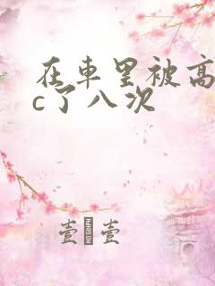在车里被高潮被c了八次