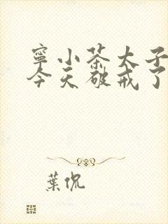 宁小茶太子殿下今天破戒了吗免费阅读