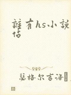 谁有hs小说网站