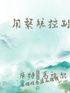 用系统控制女神