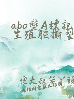 abo双A标记生殖腔撕裂