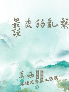 最爽的乱系列小说