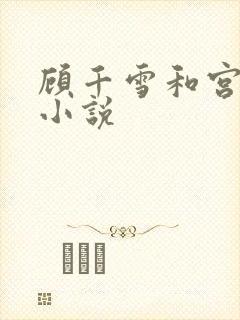 顾千雪和宫凌沨小说