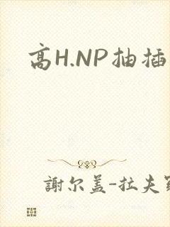 高H.NP抽插