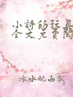 小诗的玩具日记全文免费阅读