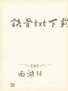 铁骨txt下载