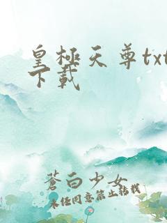 皇极天尊txt下载