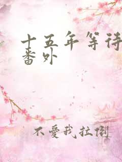 十五年等待候鸟番外