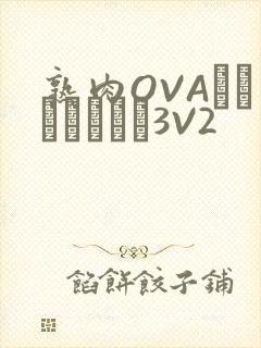 熟肉OVAちゃんはしたい3V2