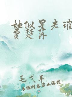 她似星光璀璨免费楚苒