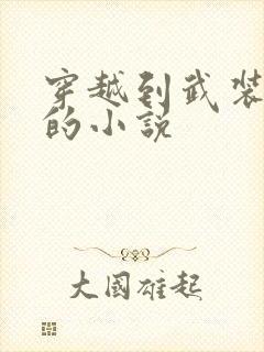 穿越到武装少女的小说