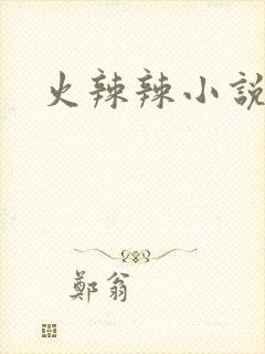 火辣辣小说全集