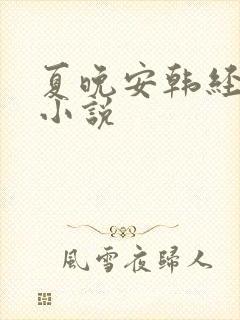 夏晚安韩经年的小说