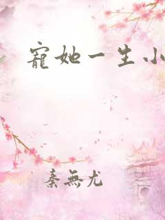 宠她一生小说