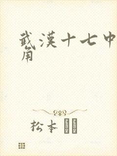 武汉十七中女主角