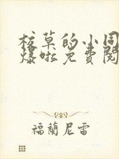 校草的小同桌撩爆啦免费阅读