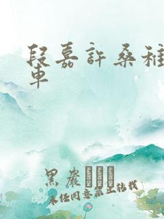 段嘉许桑稚浴室车