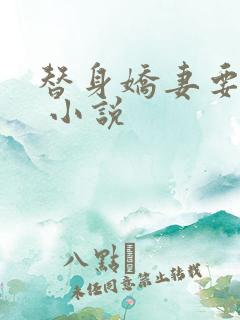 替身娇妻要离婚 小说