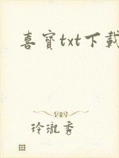 喜宝txt下载