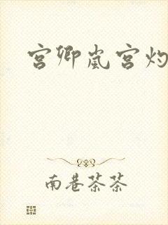 宫卿岚宫灼小说