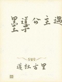 黑道公主遇冷酷王子