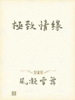 极致情缘