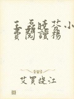 王磊晓芬小说免费阅读杨