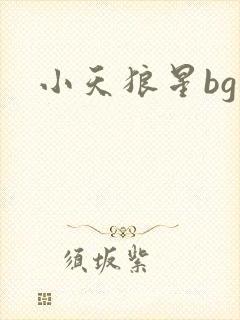 小天狼星bg