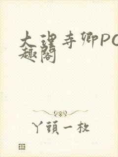 大理寺卿PO笔趣阁