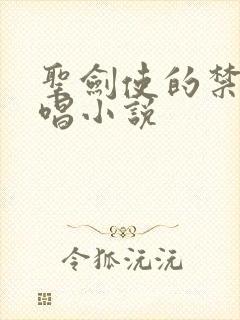 圣剑使的禁咒咏唱小说