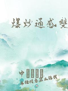 爆炒通感双胞胎