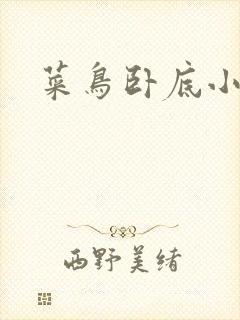 菜鸟卧底小正太