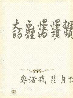 大龟慢慢挺进我的体内视频