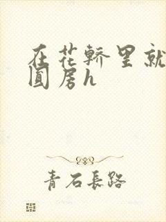 在花轿里就开始圆房h