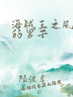 海贼王之风一样的男子