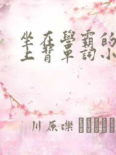 坐在学霸的棍子上背单词小说