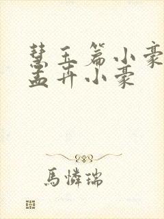 慧玉篇小豪续上孟卉小豪