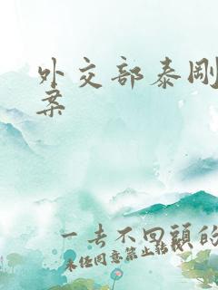 外交部泰刚间谍案