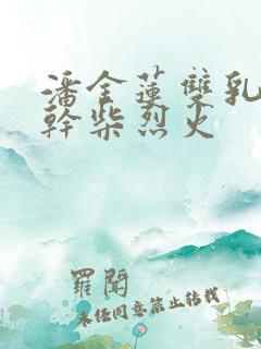 潘金莲双乳晃动干柴烈火