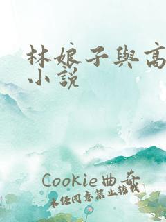 林娘子与高衙内小说