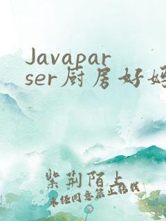 Javaparser厨房好妈妈