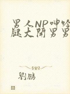 男人NP呻吟双腿大开男男小说