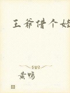 王爷借个娃