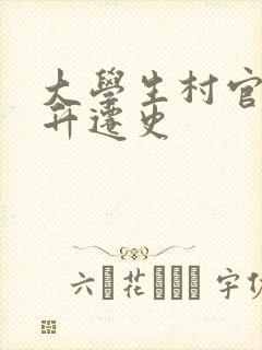 大学生村官艳遇升迁史