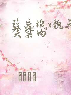 蓝忘机x魏无羡失禁肉