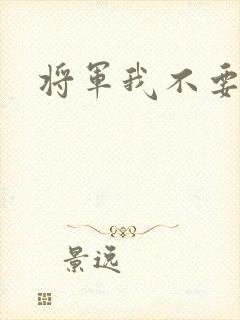 将军我不要你了