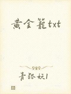 黄金笼txt