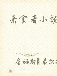 素食者小说